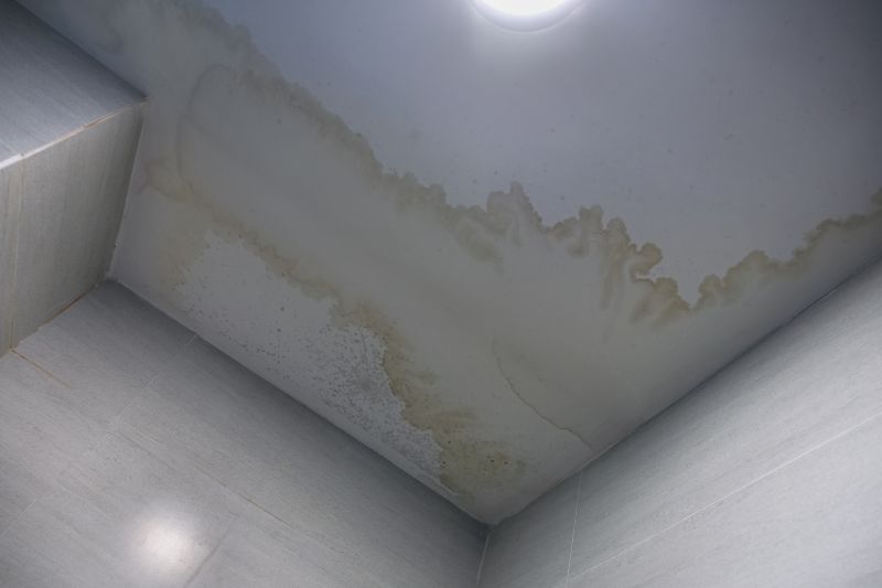 Stipple Ceiling Repair Service